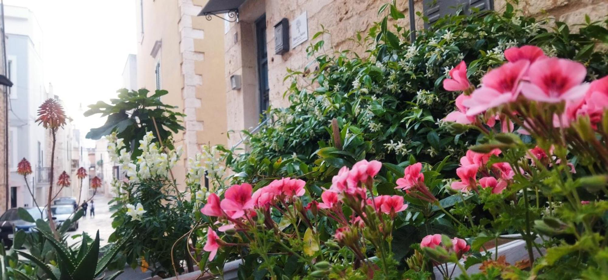 Bed and Breakfast Dimora Delle Badesse Conversano Zewnętrze zdjęcie